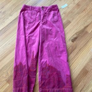 NWT Pilcro Anthropologie Skipper pants